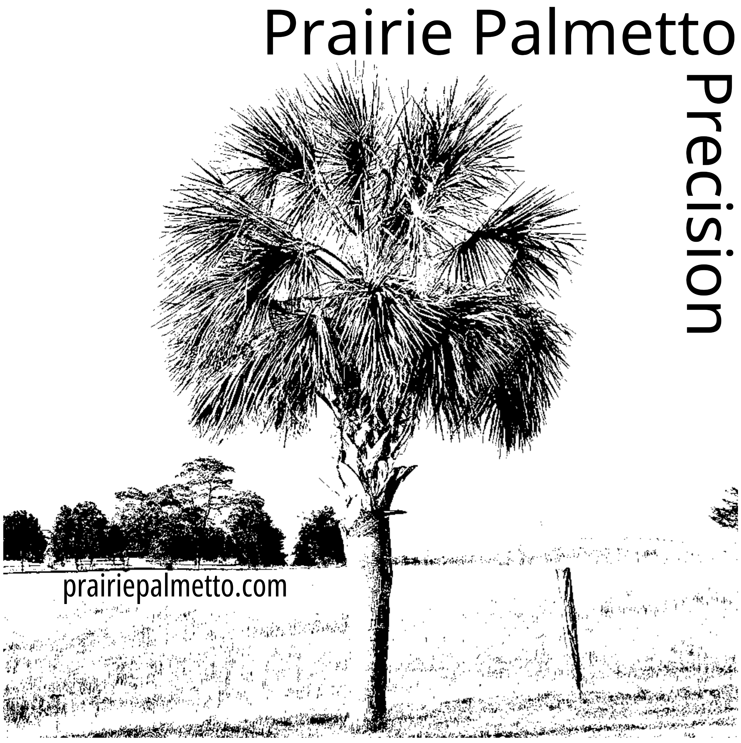 Prairie Palmetto Precision